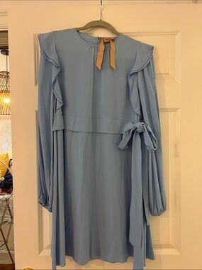 Light Blue Long-Sleeve Ruffle Tie-Waist Dress by